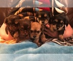Small #3 Breeder Profile image