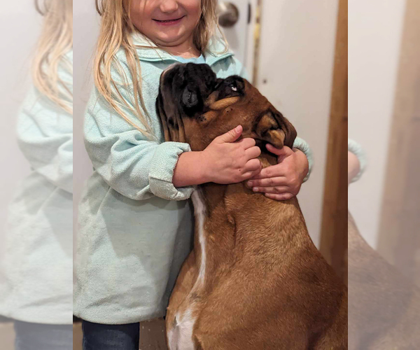 Medium Photo #1  Breeder Profile in SHERRILL, IA, USA