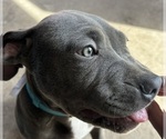 Small #8 Breeder Profile image