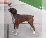 Small #5 Breeder Profile image