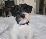 Small #7 Breeder Profile image