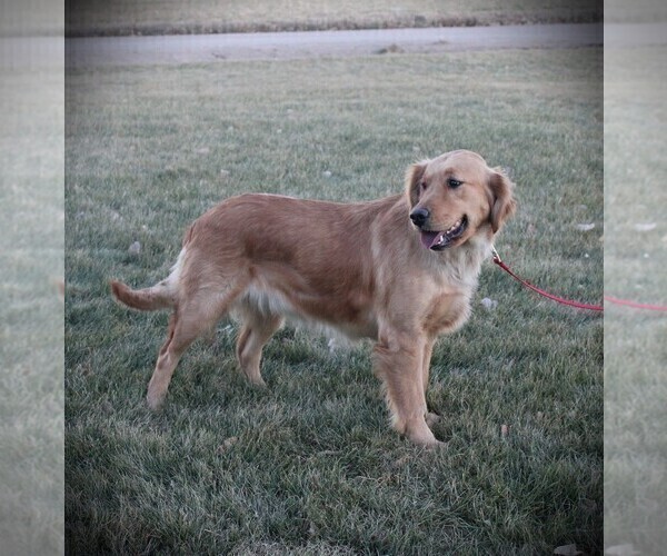 Medium Photo #1  Breeder Profile in BAYARD, NE, USA
