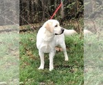 Small #14 Breeder Profile image