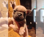 Small Photo #7  Breeder Profile in NEW WAVERLY, TX, USA