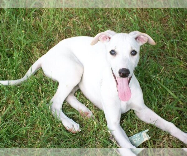 Medium Photo #1  Breeder Profile in OWASSO, OK, USA