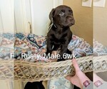 Small #4 Breeder Profile image