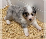 Small #31 Breeder Profile image