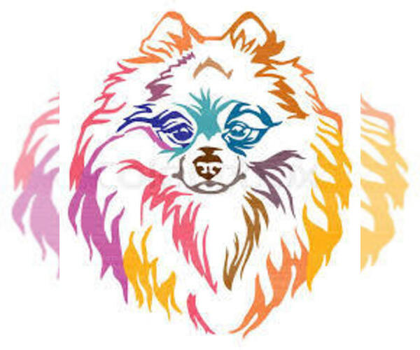 Medium Photo #1  Breeder Profile in CLARION, PA, USA