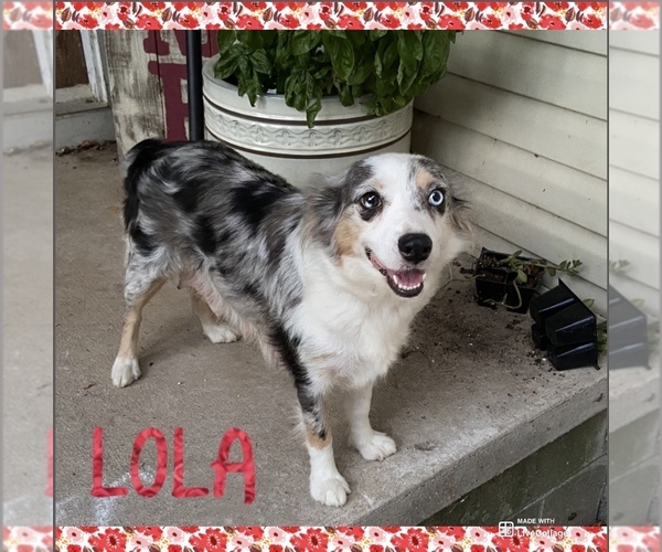 Medium Photo #1  Breeder Profile in STARK CITY, MO, USA