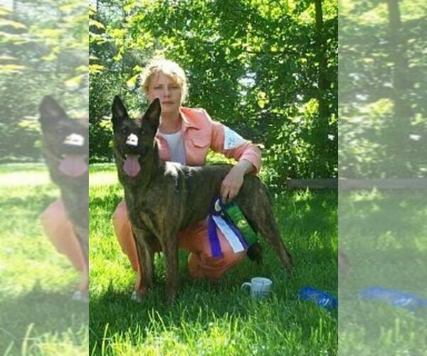 Medium Photo #1  Breeder Profile in FLINT, MI, USA