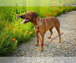 Small #9 Breeder Profile image