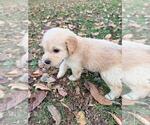 Small #26 Breeder Profile image