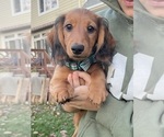 Small #2 Breeder Profile image