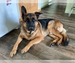 Small #1 Breeder Profile image