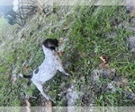 Small #3 Breeder Profile image