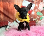 Small #3 Breeder Profile image