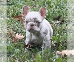 Small #8 Breeder Profile image