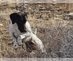 Small #2 Breeder Profile image
