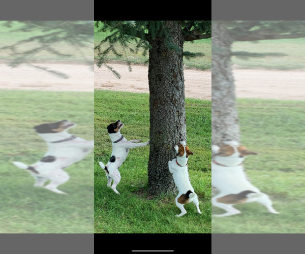Medium Photo #1  Breeder Profile in GORDON, NE, USA
