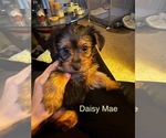Small #13 Breeder Profile image