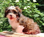 Small #48 Breeder Profile image