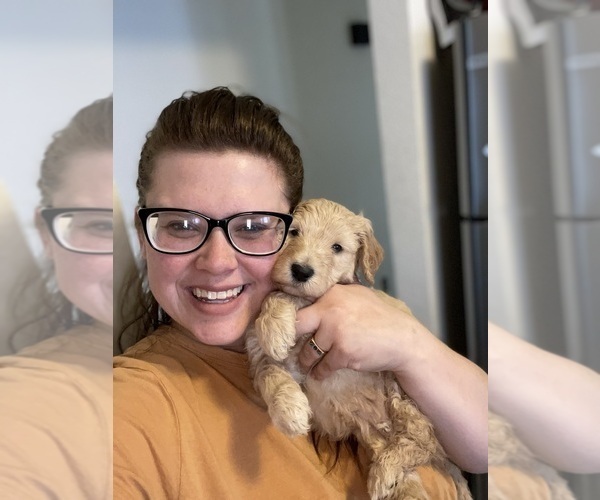 Medium Photo #1  Breeder Profile in ALBUQUERQUE, NM, USA