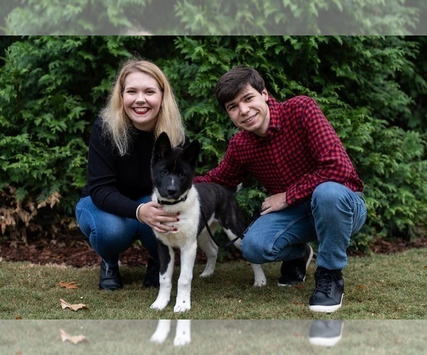 Medium Photo #64  Breeder Profile in MCDONOUGH, GA, USA