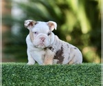 Small #6 Breeder Profile image