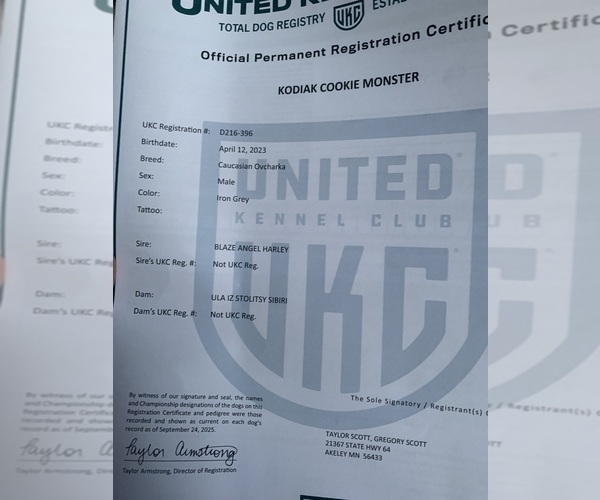 Medium Photo #6  Breeder Profile in AKELEY, MN, USA