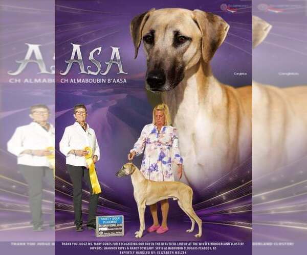 Medium Photo #4  Breeder Profile in PEABODY, KS, USA
