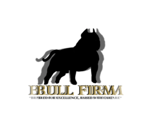 American Bully Dog Breeder near LAWRENCEVILLE, GA, USA