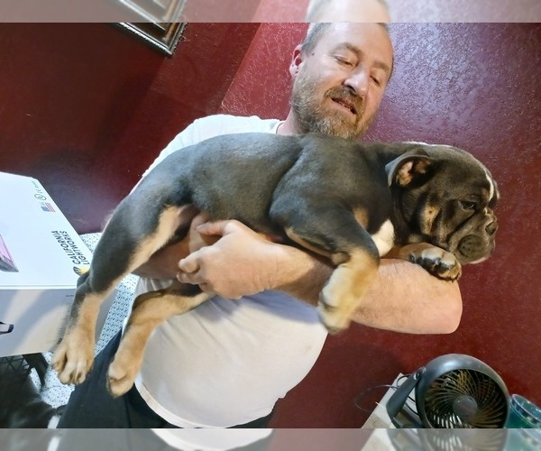 Medium Photo #5  Breeder Profile in MCALESTER, OK, USA