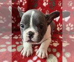 Small #11 Breeder Profile image