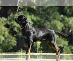 Small #5 Breeder Profile image