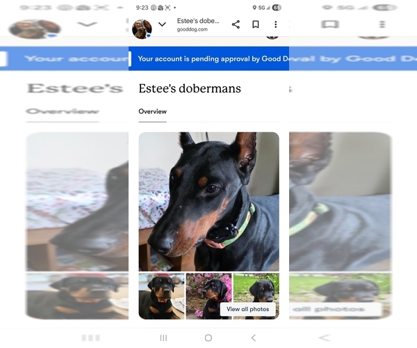 Medium Photo #15  Breeder Profile in NORTH SMITHFIELD, RI, USA