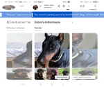 Small #14 Breeder Profile image
