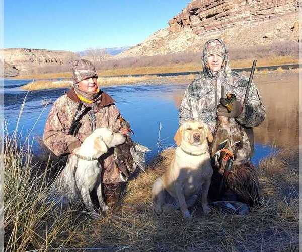 Medium Photo #1  Breeder Profile in CEDAREDGE, CO, USA