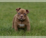Small #7 Breeder Profile image