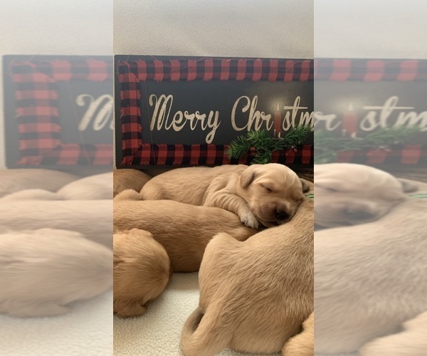 Medium Photo #8  Breeder Profile in LE ROY, MN, USA