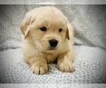 Small #7 Breeder Profile image