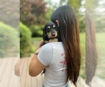 Small #28 Breeder Profile image