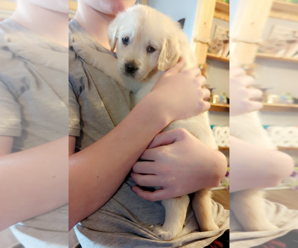 Medium Photo #4  Breeder Profile in MILACA, MN, USA