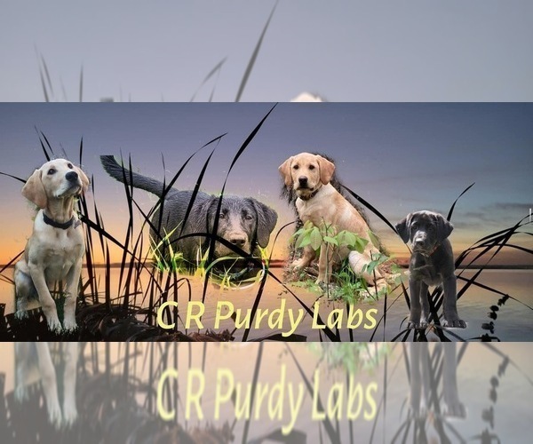 Medium Photo #1  Breeder Profile in GRAND MARSH, WI, USA