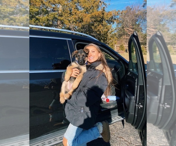 Medium Photo #1  Breeder Profile in LAMBERTVILLE, NJ, USA