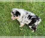 Small #4 Breeder Profile image