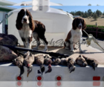 Small #3 Breeder Profile image