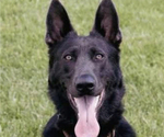 Small #4 Breeder Profile image