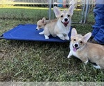 Small #5 Breeder Profile image