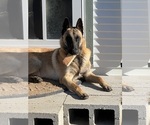Small #4 Breeder Profile image