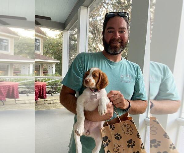 Medium Photo #165  Breeder Profile in HORTENSE, GA, USA
